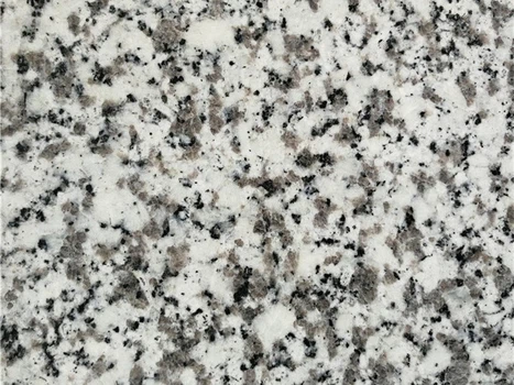 Bianco Sardo Granite Slabs 2 - Bianco Sardo Granite Slabs 2 -